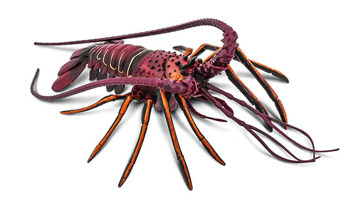 Spiny Lobster
